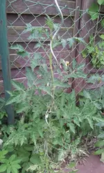 20130617_154201.webp
