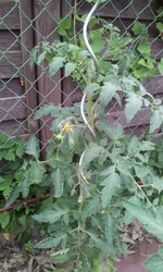 20130617_154310.webp