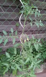 20130617_154402.webp