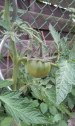 20130617_154505.webp