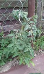 20130617_154515.webp