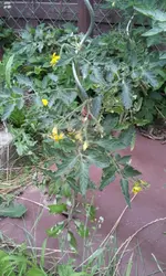 20130617_154550.webp