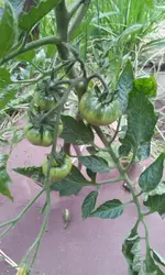 20130617_154607.webp