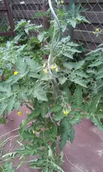 20130617_154628.webp