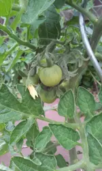 20130617_154709.webp