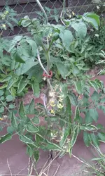 20130617_154723.webp
