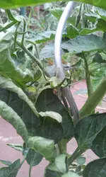 20130617_154817.webp