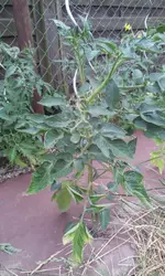 20130617_154826.webp