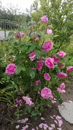 WP_20130623_001.webp