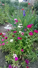 WP_20130623_002.webp