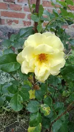 WP_20130623_003.webp