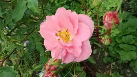 WP_20130623_005.webp