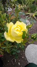 WP_20130623_006.webp