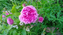 WP_20130623_007.webp
