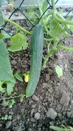 WP_20130624_001.webp