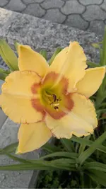 260620131749.webp