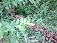 Foto_5.webp