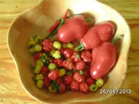 BILD3651.webp