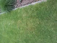 2013-06-27 07.28.06.webp