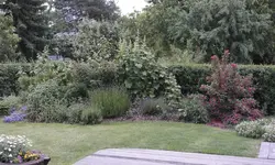 SAM_9650.webp