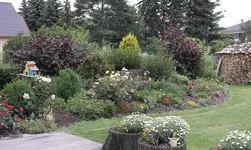 SAM_9651.webp