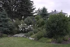 SAM_9656.webp