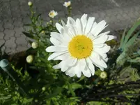 CIMG6961.webp