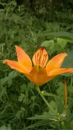 270620131750.webp