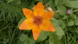 270620131751.webp