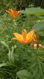 270620131752.webp