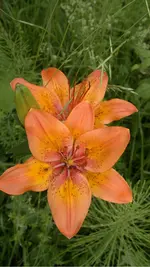 270620131753.webp