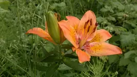 270620131754.webp