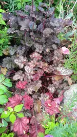 DSCN4950.webp