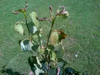 IMG-20130627-00079.webp