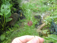 CIMG7003.webp