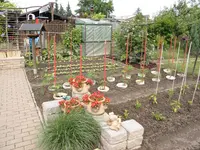 P6271429.webp
