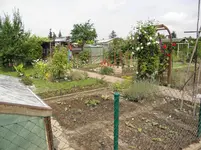 P6271430.webp