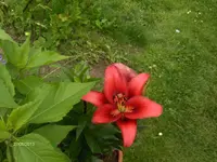 HPIM9711.webp