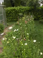 HPIM9716.webp