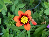 DSCN2263.webp