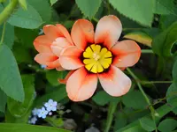 DSCN2264.webp