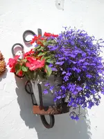DSCN2268.webp