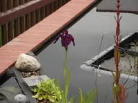 DSCF2763.webp