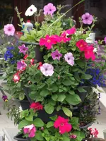 DSCF2771.webp