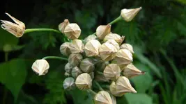 DSCN4951.webp