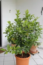 IMG_1928.webp