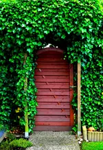 Aditus.webp