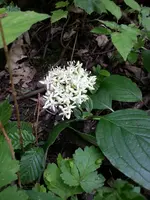 20130612_115639.webp