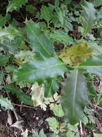 20130612_122530.webp