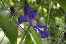IMG_2399.webp